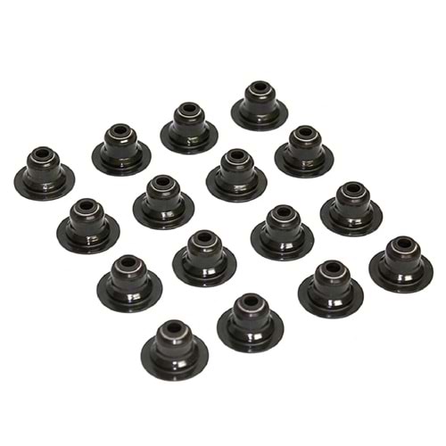 Subap Lastiği Chevrolet Kalos Lacetti Aveo 16V Victor Reinz 96840122